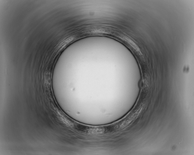 X0000098180793200805151139