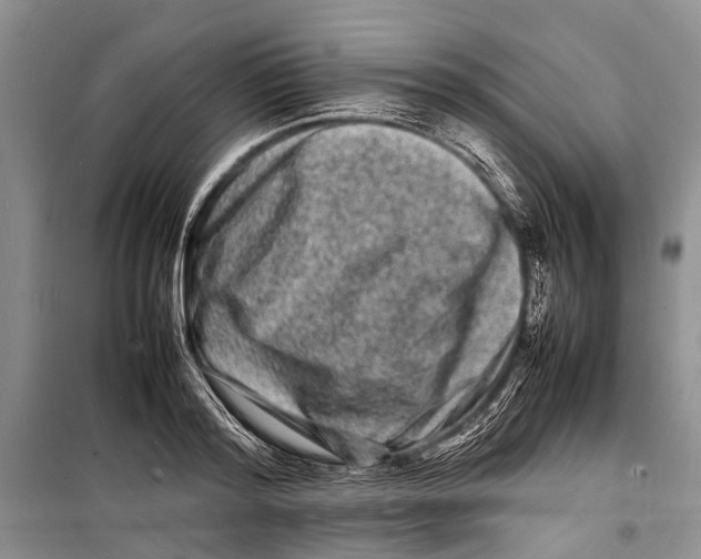 X0000098180796200805151139