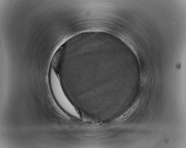 X0000098180797200805151139