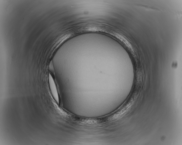 X0000098180801200805151139