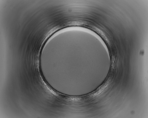 X0000098180802200805151139