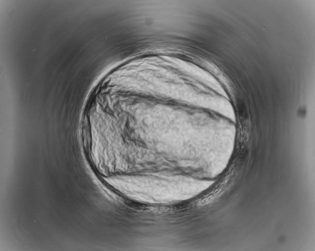 X0000098180803200805151139