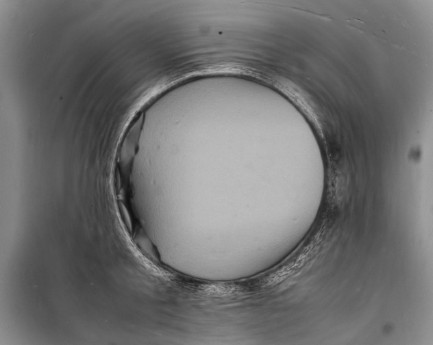 X0000098180805200805151139