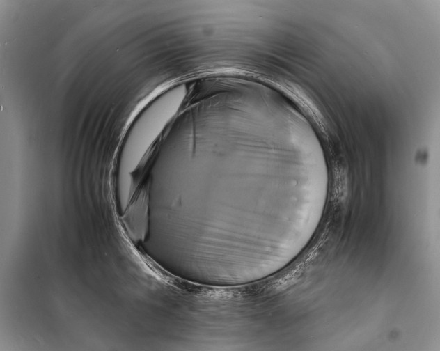 X0000098180806200805151139