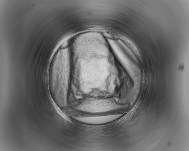 X0000098180808200805151139