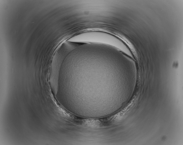 X0000098180809200805151139