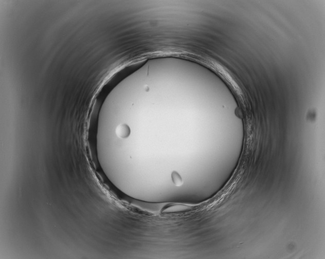 X0000098180810200805151139