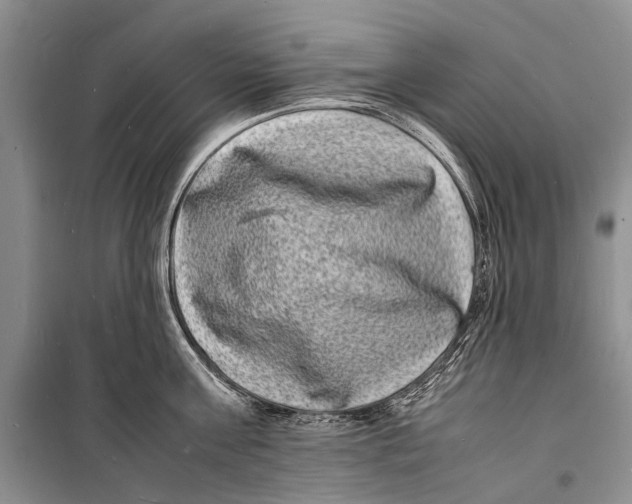 X0000098180811200805151139