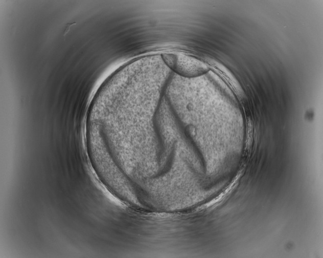 X0000098180812200805151139