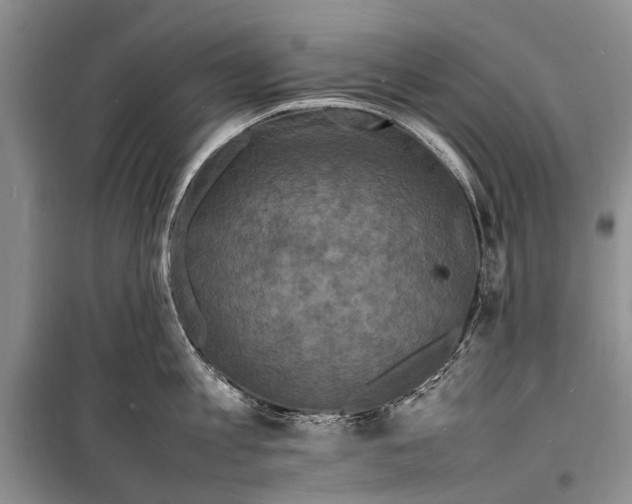 X0000098180813200805151139