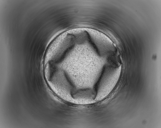 X0000098180814200805151139