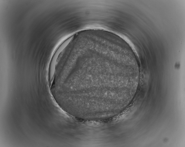 X0000098180815200805151139