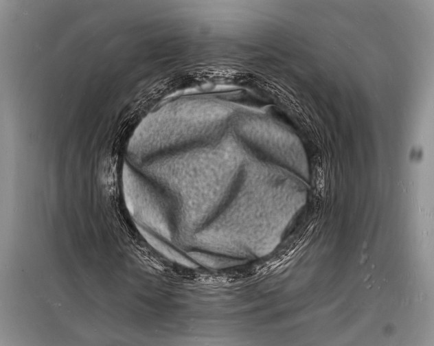 X0000098180818200805151138