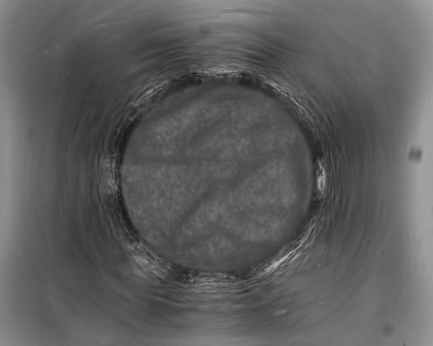 X0000098180819200805151138