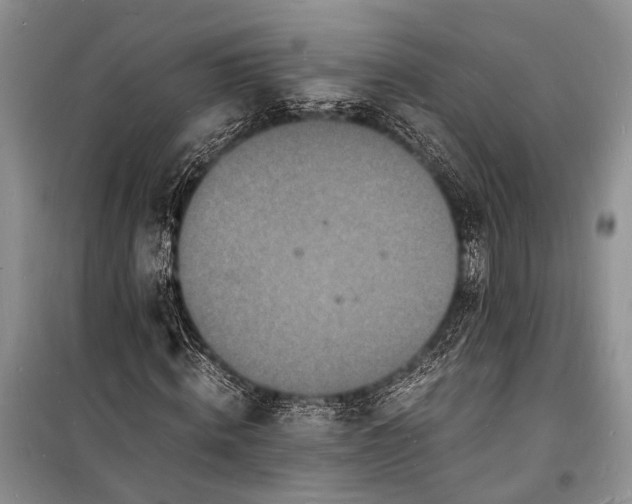 X0000098180820200805151138