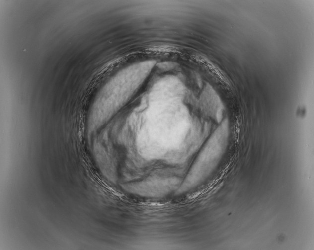 X0000098180821200805151138