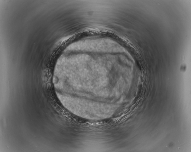 X0000098180822200805151138