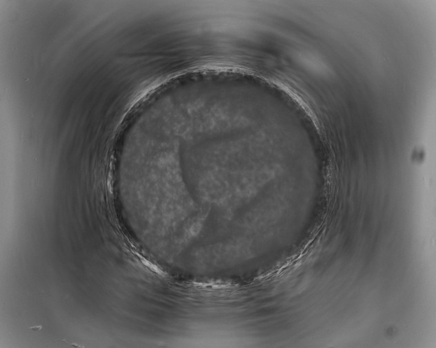 X0000098180823200805151138