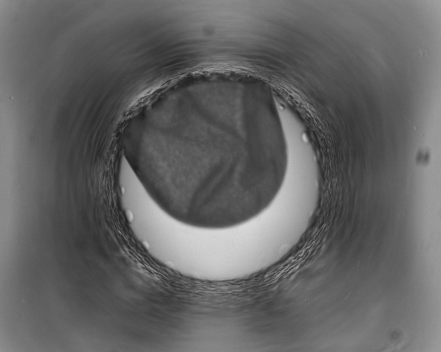 X0000098180824200805151138