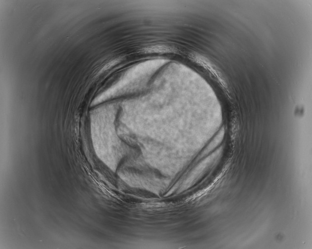 X0000098180825200805151138