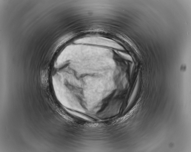 X0000098180826200805151138