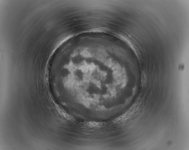 X0000098180827200805151138