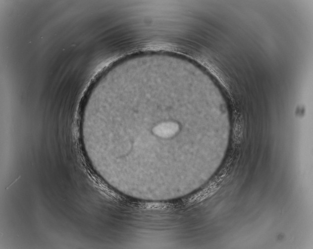 X0000098180832200805151138