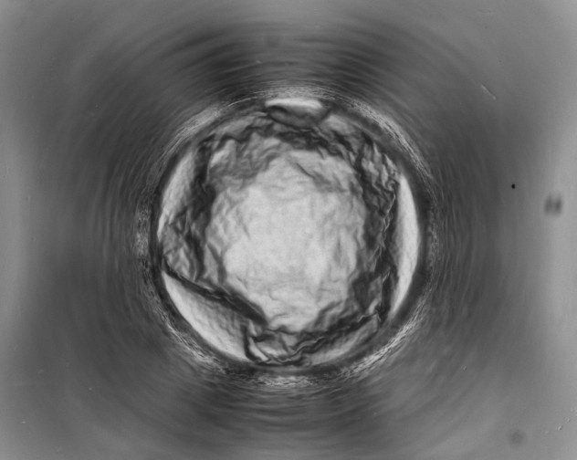 X0000098180833200805151138