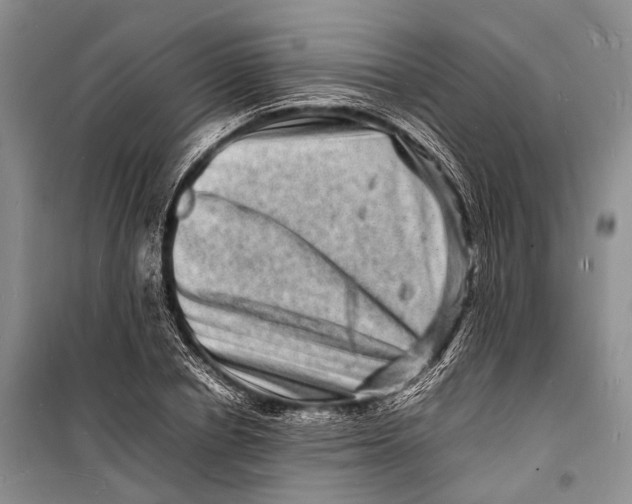 X0000098180834200805151138