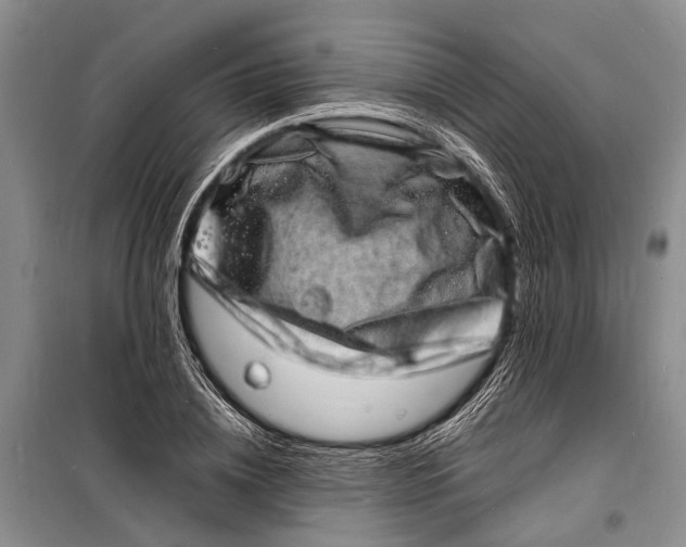 X0000098180836200805151138