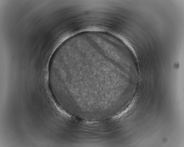 X0000098180837200805151138