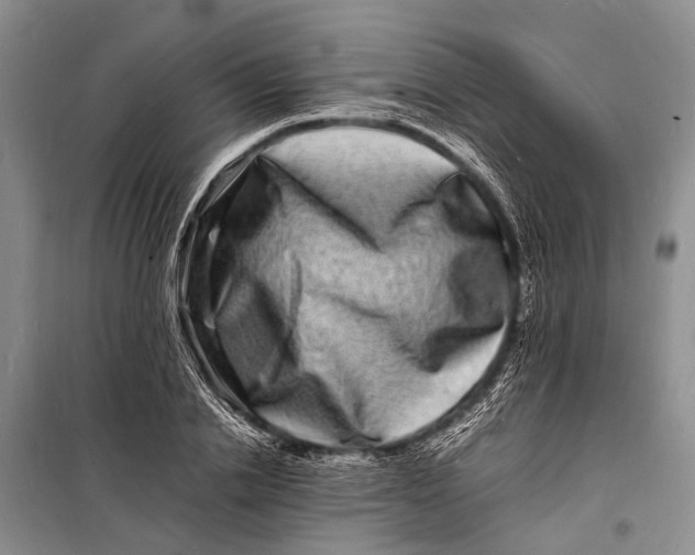 X0000098180838200805151138