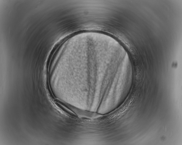 X0000098180840200805151138