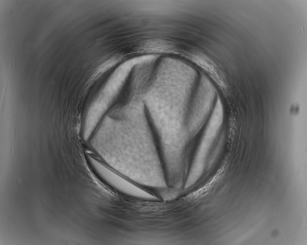 X0000098180841200805151138