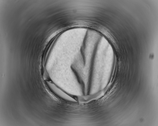 X0000098180842200805151138