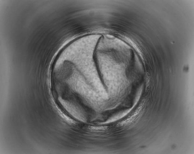 X0000098180843200805151138