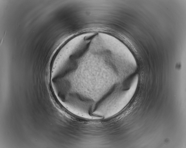 X0000098180844200805151139