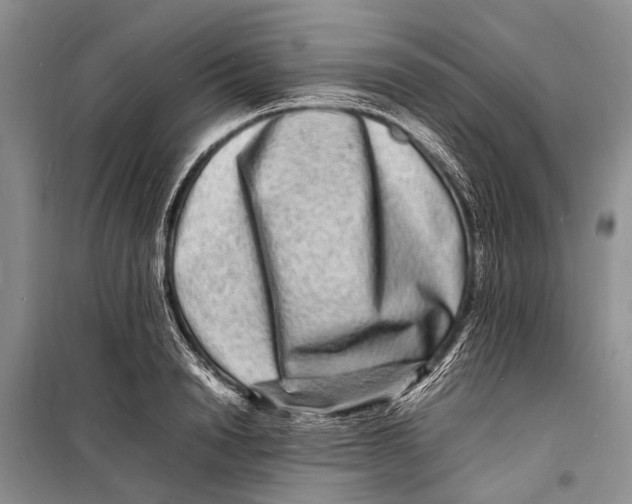 X0000098180846200805151139