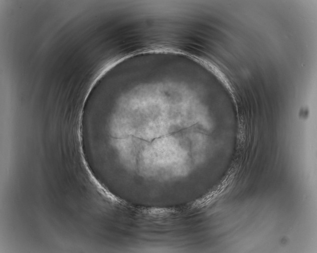 X0000098180847200805151139