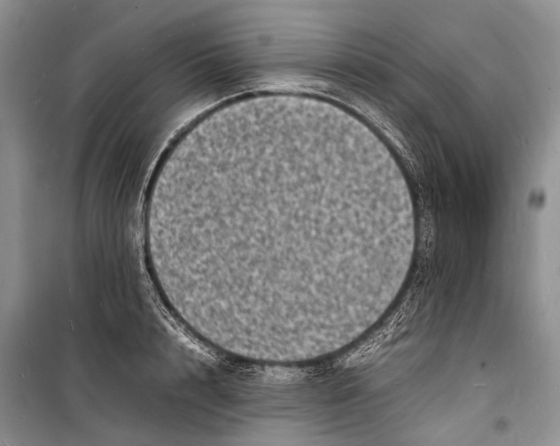 X0000098180848200805151139