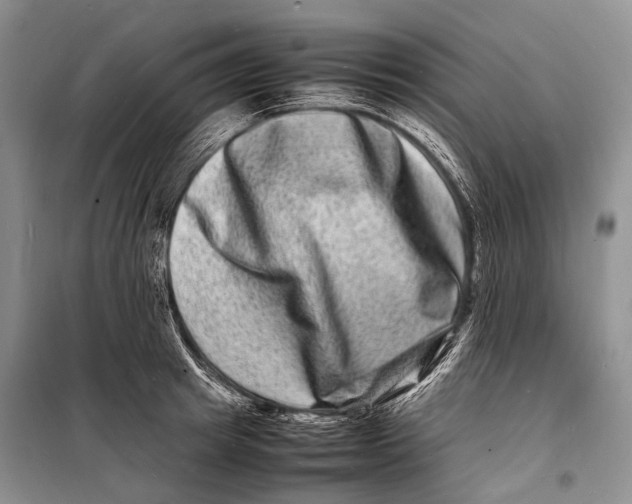 X0000098180849200805151139