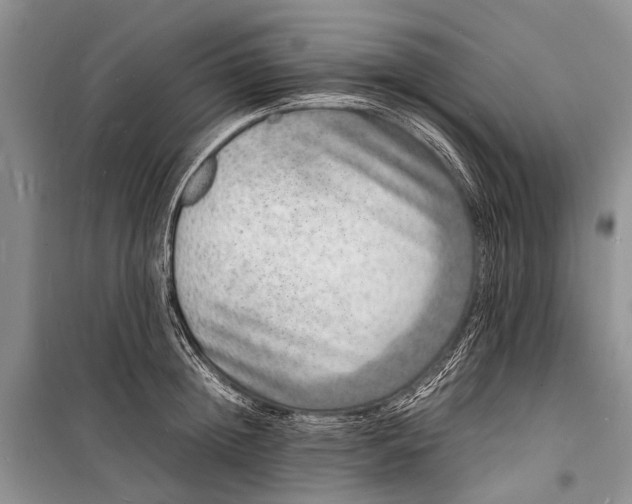 X0000098180852200805151139