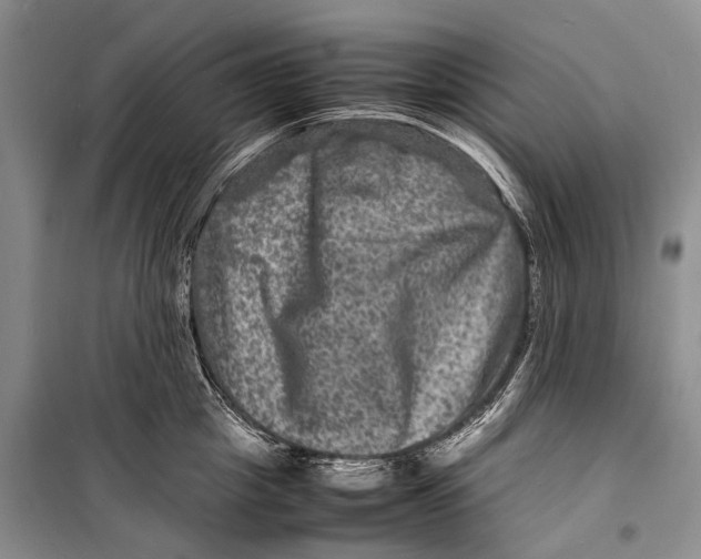 X0000098180857200805151139