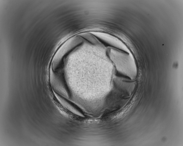 X0000098180858200805151139