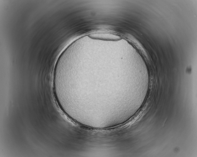 X0000098180860200805151139