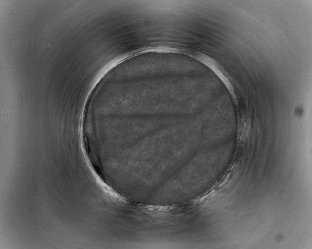 X0000098180861200805151139