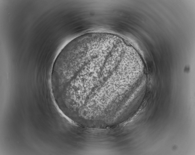 X0000098180863200805151139