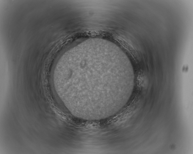 X0000098180865200805151138