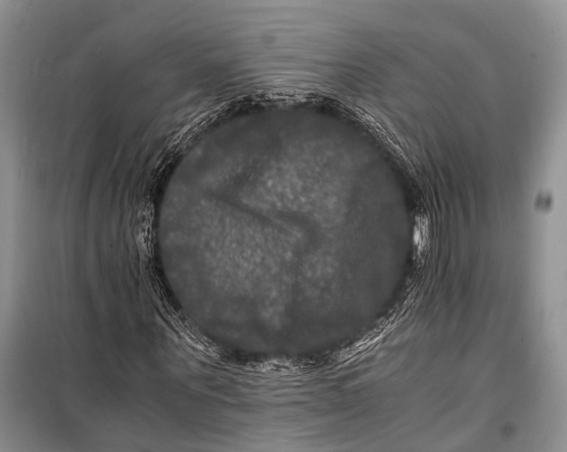 X0000098180867200805151138