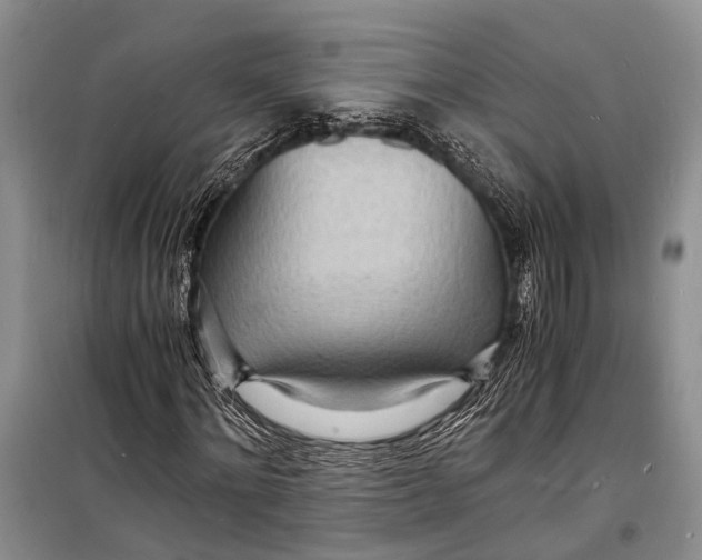 X0000098180868200805151138